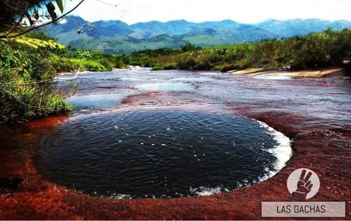 El Portal De Don Luis Otel Guadalupe Dış mekan fotoğraf